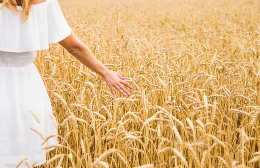 bienfaits du petit épeautre pour la santé