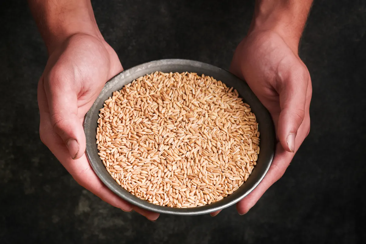 Une personne qui tient un bol de kamut